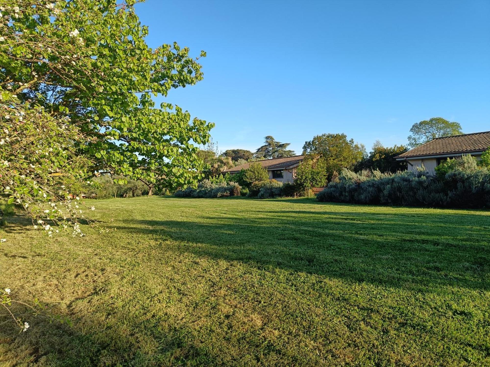 Agriturismo Fontelupo Bracciano  Exterior photo